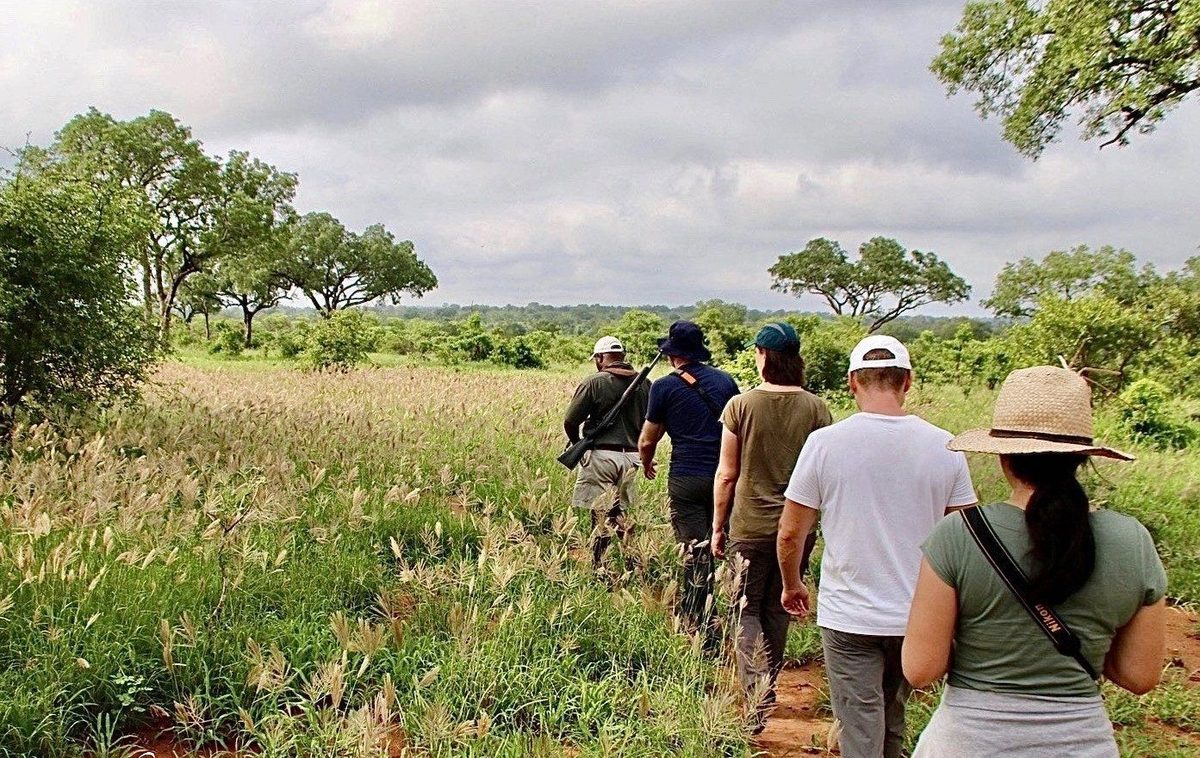 Guided walking safari in the South African bush